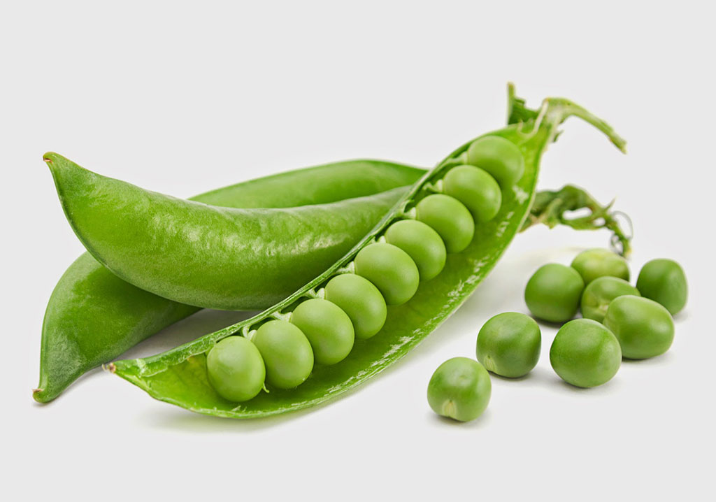 Arveja xkg - Producción Responsable