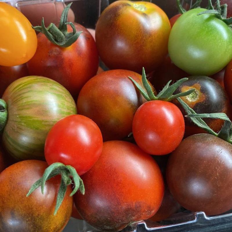 Tomate cherry mix de colores 500gr - Dos Huertos